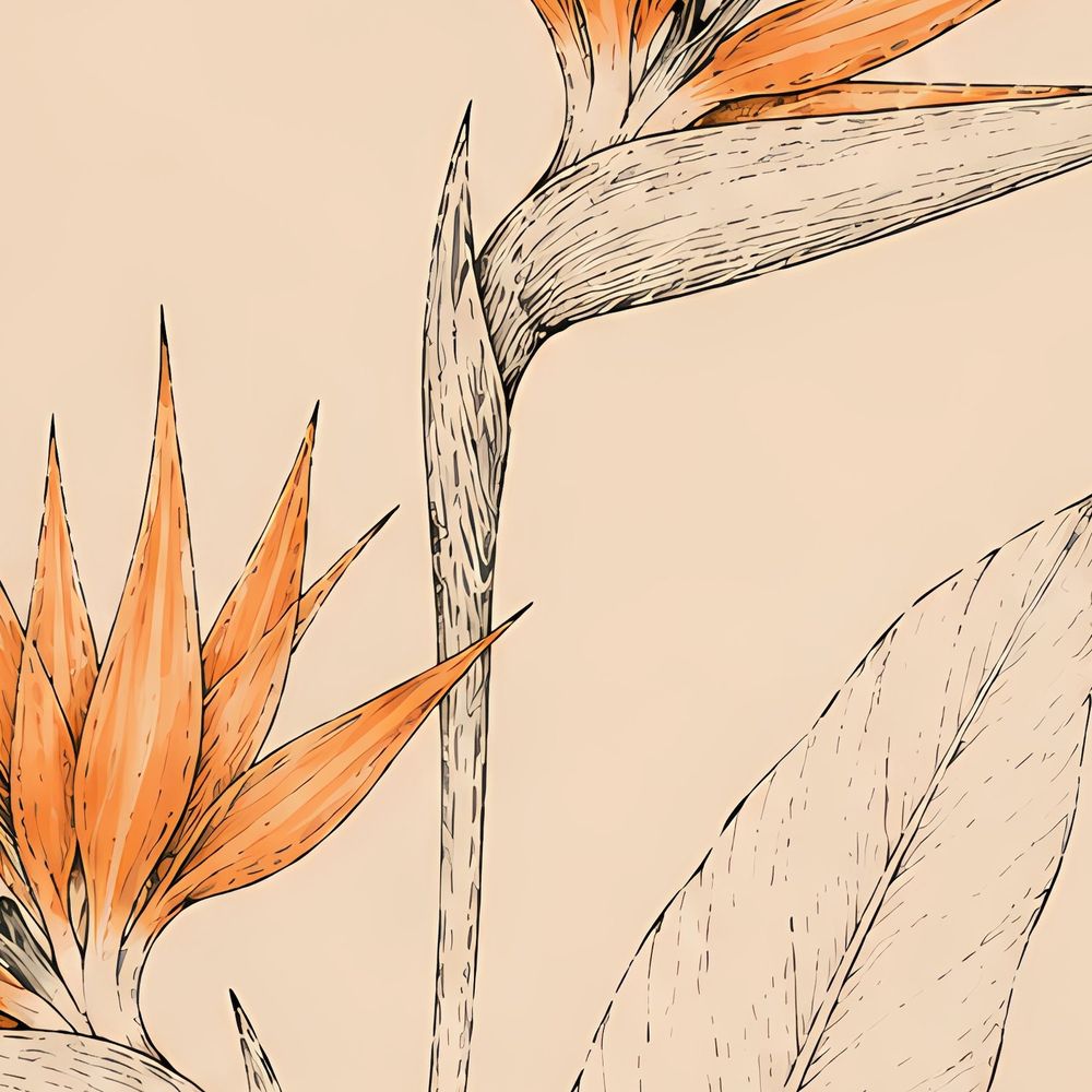 Amber Ink Strelitzia — florals wall art print by Brunelvi — view 2