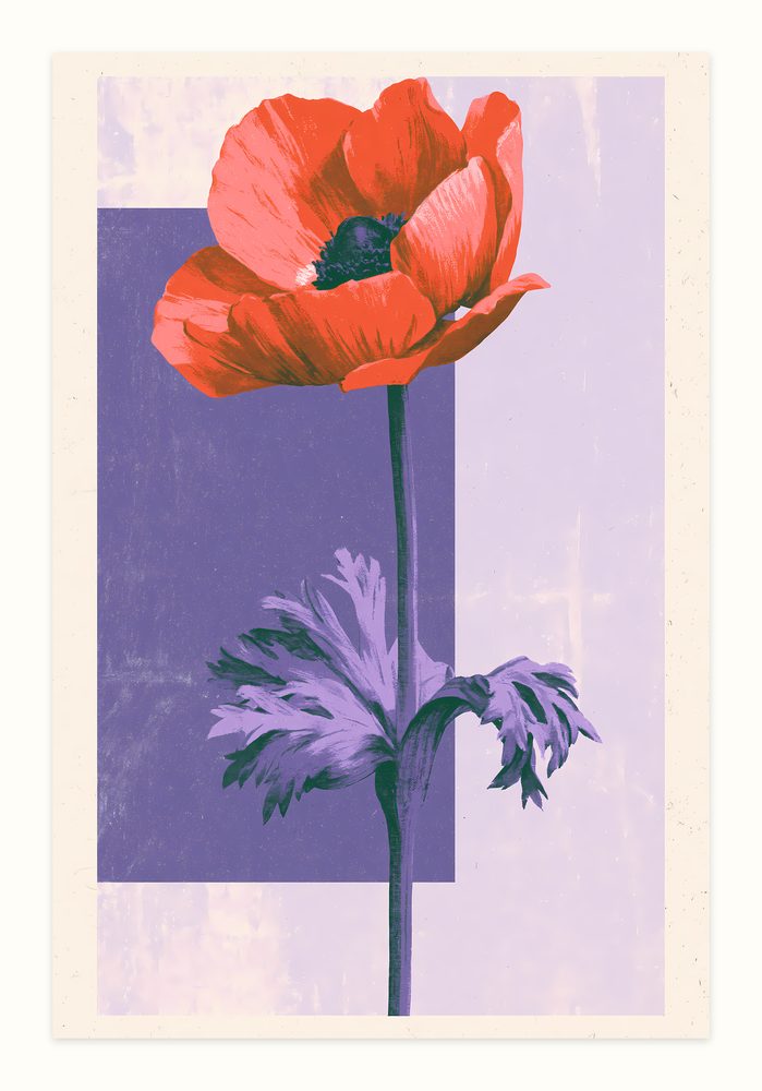 Anemone Retro Poster retro poster art wall art by Brunelvi