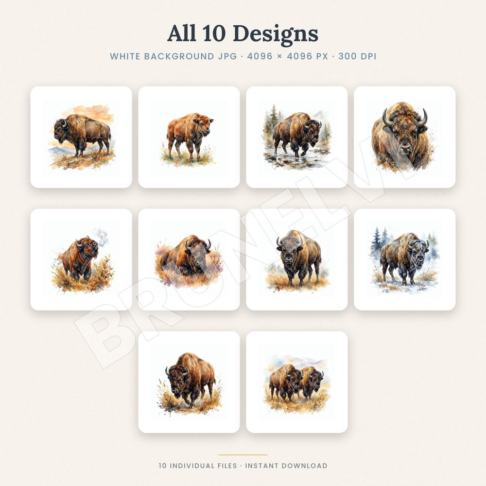 Bison Clipart Bundle — jpg bundles (white bg) clipart by Brunelvi — view 2