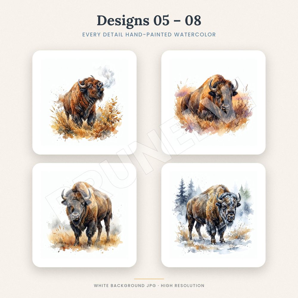 Bison Clipart Bundle — jpg bundles (white bg) clipart by Brunelvi — view 4