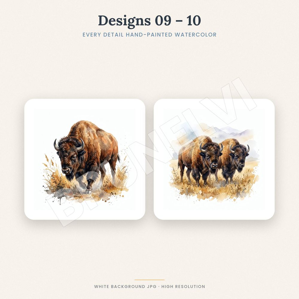 Bison Clipart Bundle — jpg bundles (white bg) clipart by Brunelvi — view 5