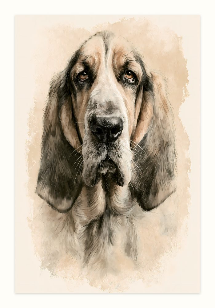 Bloodhound vintage illustration wall art by Brunelvi