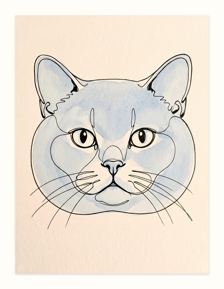 British Shorthair line art wall art by Brunelvi
