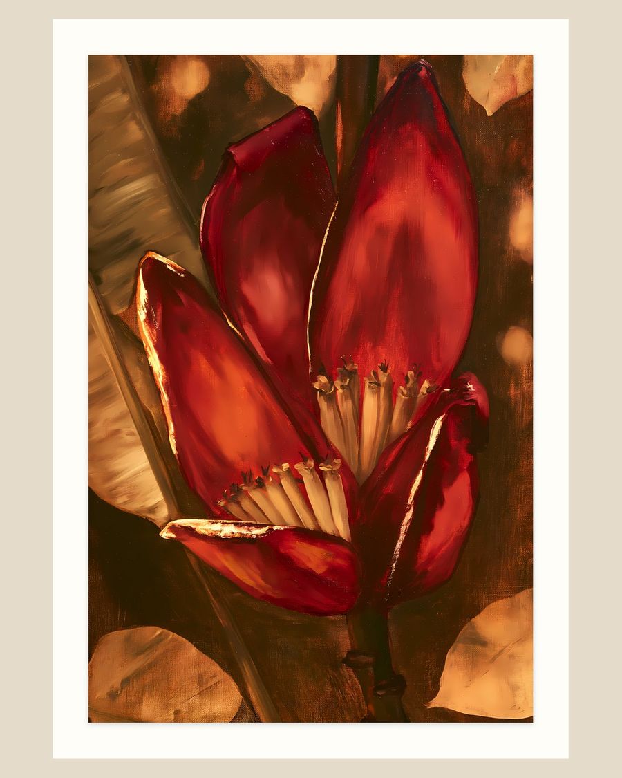 Crimson Banana Bloom — florals art print by Brunelvi