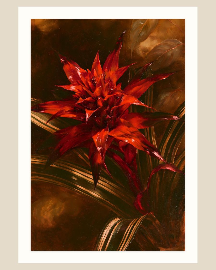 Crimson Bromeliad — florals art print by Brunelvi