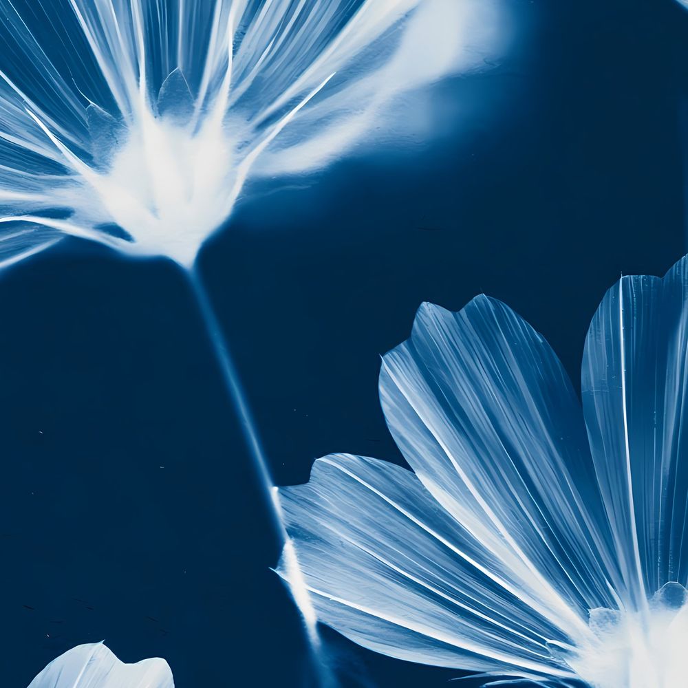 Cyanotype Cosmos — florals wall art print by Brunelvi — view 2