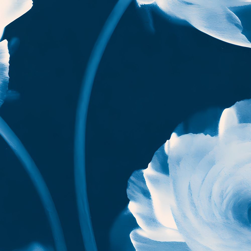 Cyanotype Ranunculus — florals wall art print by Brunelvi — view 2