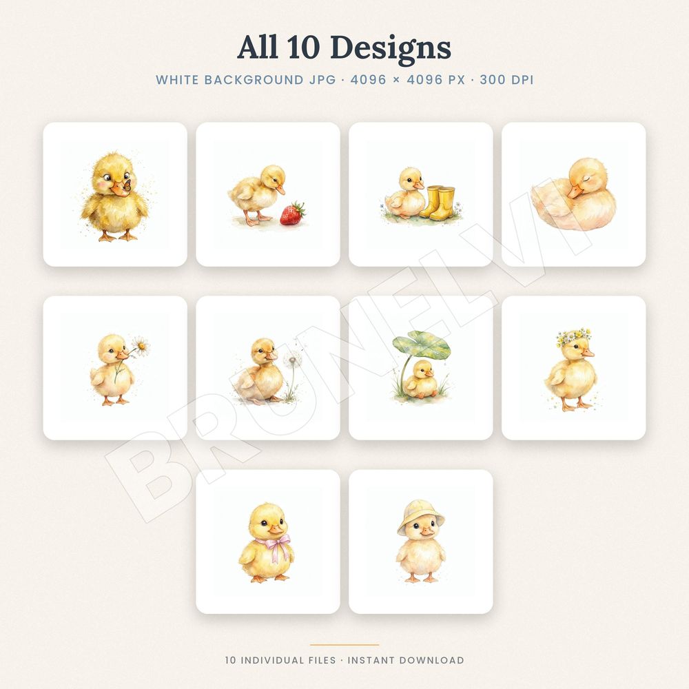 Duckling Clipart Bundle — jpg bundles (white bg) clipart by Brunelvi — view 2