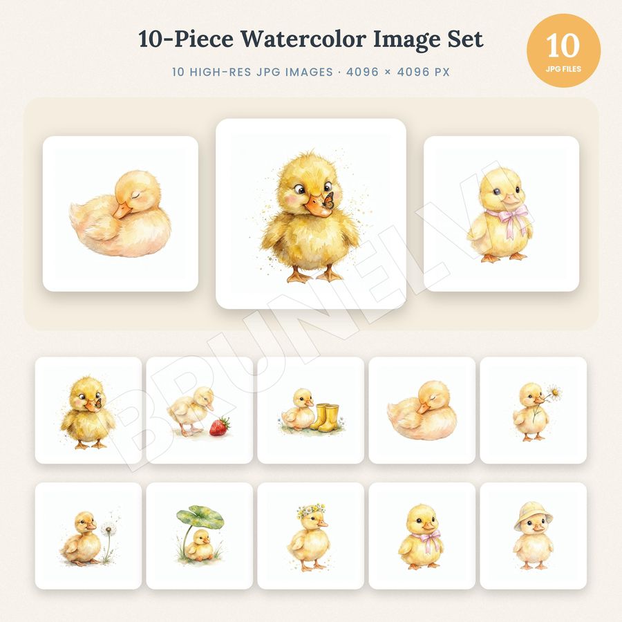 Duckling Clipart Bundle — jpg bundles (white bg) clipart by Brunelvi