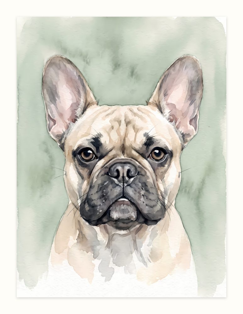 French Bulldog watercolor painting wall art by Brunelvi
