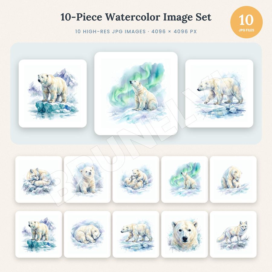 Polar Bear Clipart Bundle — jpg bundles (white bg) clipart by Brunelvi