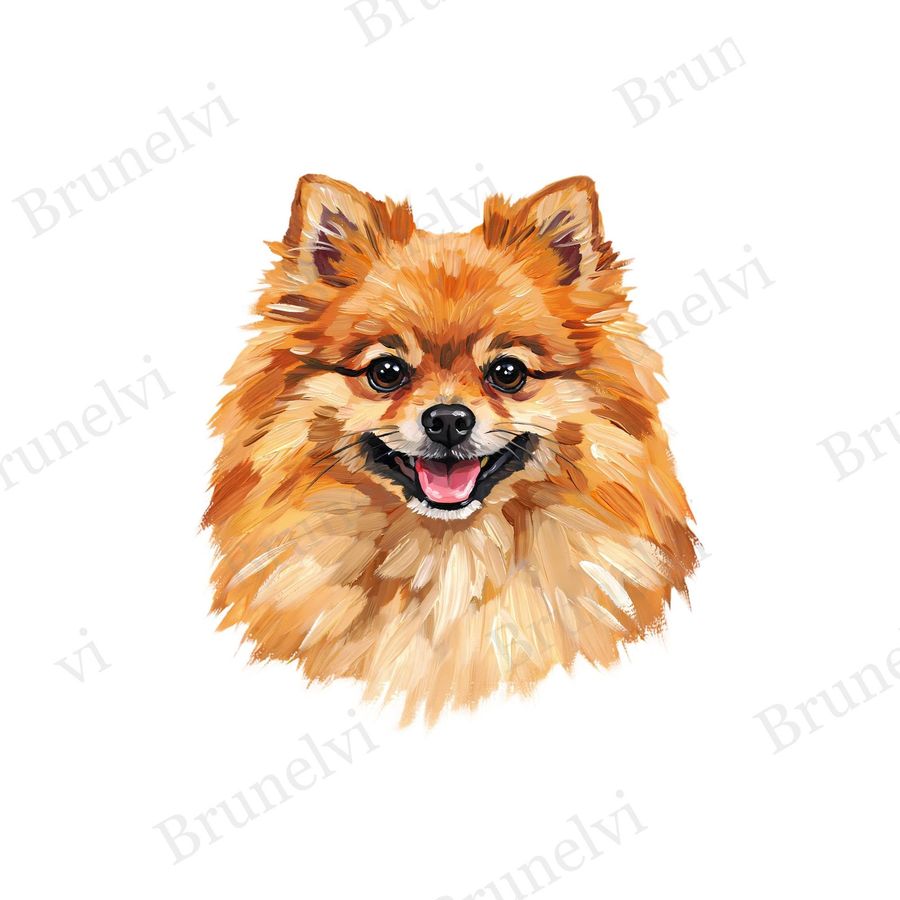 Pomeranian Oil Painting Clipart — animal clipart clipart by Brunelvi