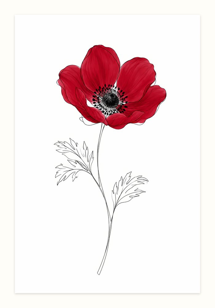 Red Anemone line art wall art by Brunelvi