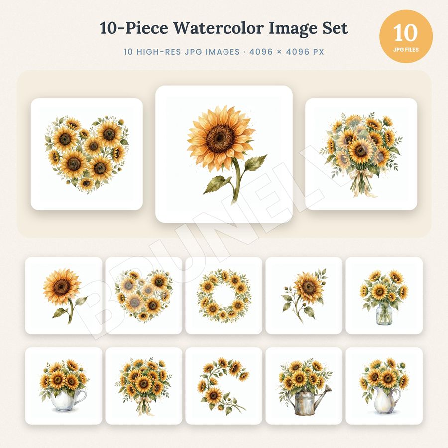 Sunflower Clipart Bundle — jpg bundles (white bg) clipart by Brunelvi