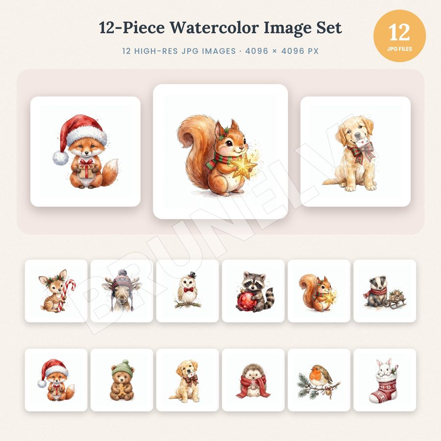 Winter Woodland Animals Clipart — jpg bundles (white bg) clipart by Brunelvi